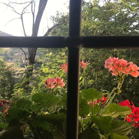 Antica Dimora Di Laura Apartment Barberino di Mugello Ngoại thất bức ảnh