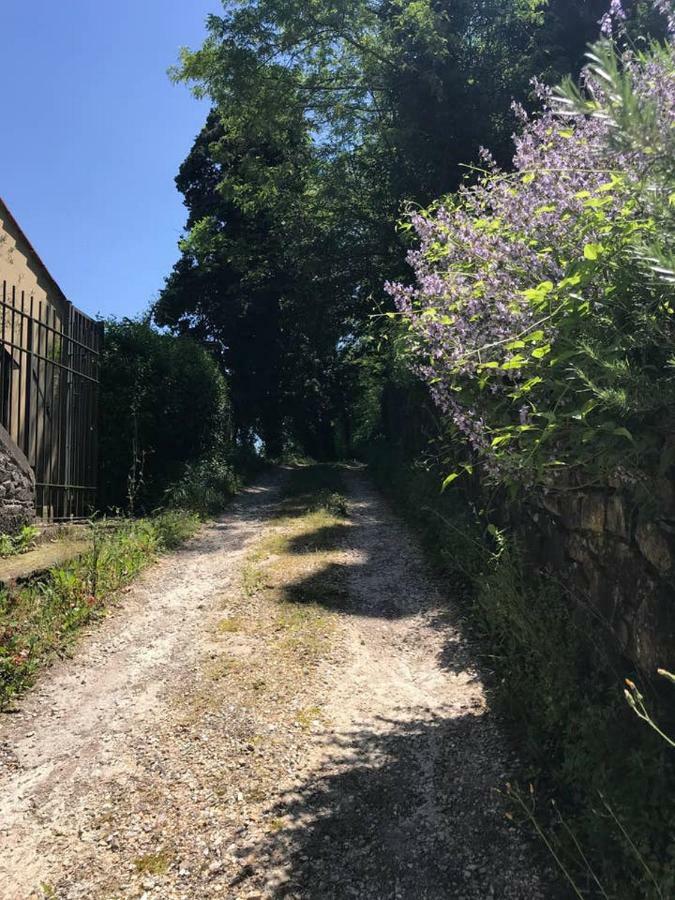 Antica Dimora Di Laura Apartment Barberino di Mugello Ngoại thất bức ảnh