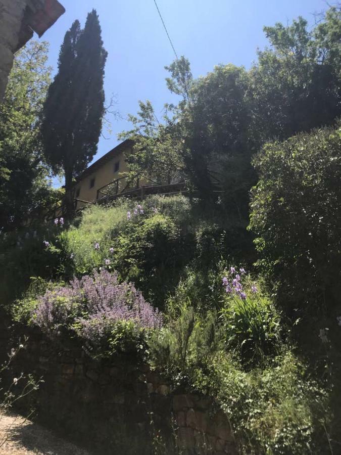 Antica Dimora Di Laura Apartment Barberino di Mugello Ngoại thất bức ảnh